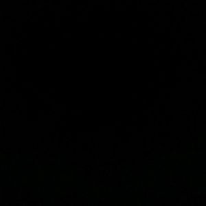 Meet your Posher, Travis